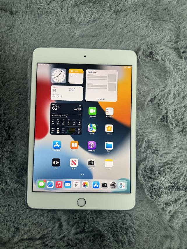 iPad Prata